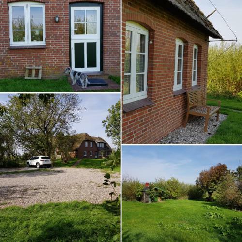 Apartamento Tammwarftshof