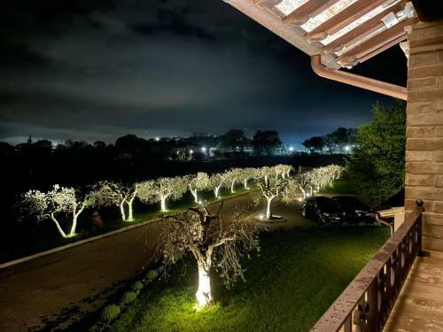 Bed & Breakfast Opera Domini Asisium