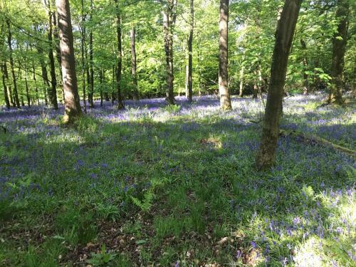 Ingledale Apartment, Ingleton, Yorkshire Dales
