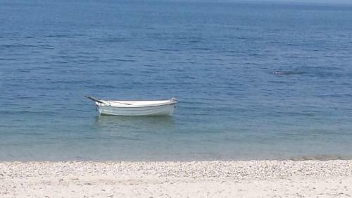 Cottage On The Beach Wineries North Fork The Hamptons