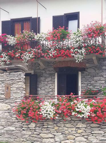 B&B Terra Di Confine