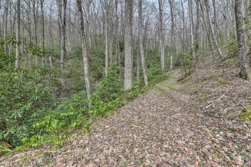 Cozy Blue Ridge Mountain Cabin On 18 Acre Lot