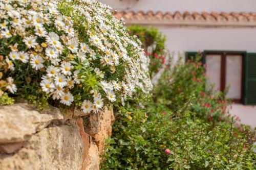 Apartamento Poblat 86
