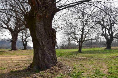 Bed & Breakfast Il Riccio E La Castagna - Country House