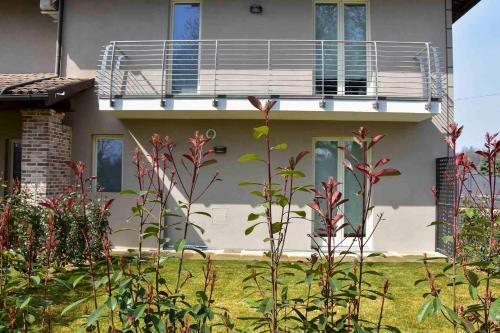 Bed & Breakfast Il Riccio E La Castagna - Country House