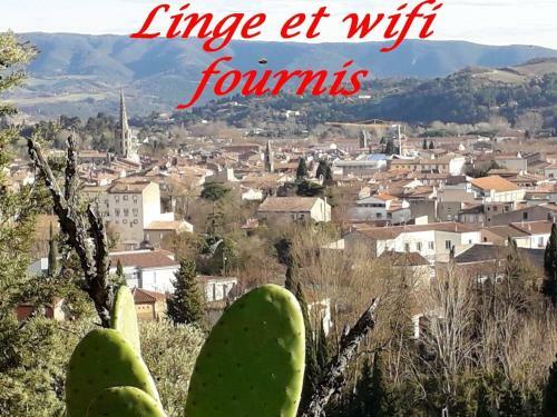 Apartamento Studio Avec Wifi A Limoux
