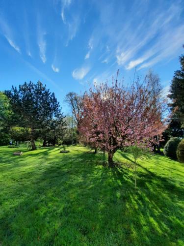 Bed & Breakfast Les �tangs Du Moulin D'harcy