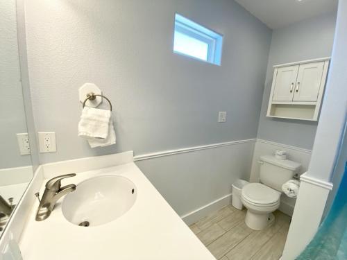 Dive On In And Enjoy Life At The Diving Dolphin! Home