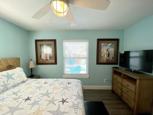 Dive On In And Enjoy Life At The Diving Dolphin! Home