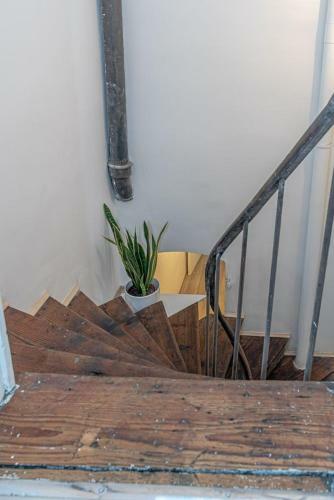 Apartamento Les Cocktails