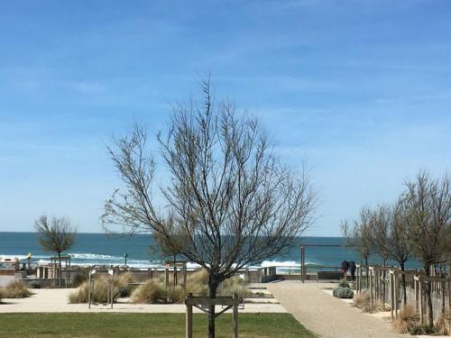 Apartamento Appartement Vue Oc�an