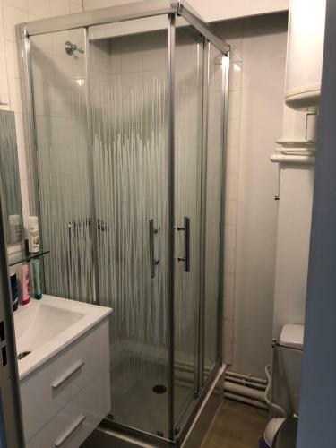 Apartamento Studio Cit� Des Congr�s - Ch�teau