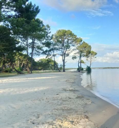 Charmant Mobilhome Dans Camping 4 �toiles Au Lac De Biscarrosse