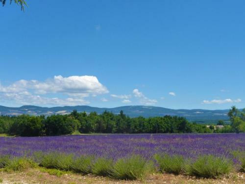Charming Holiday Home With Private Terrace In Pernes-les-fontaines