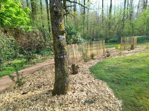 Hostal A L'or�e Du C�dre