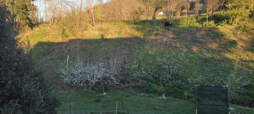 La Paillote Ard�choise