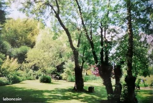 Bed & Breakfast R�ves & Rivi�re