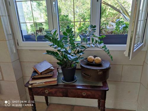 Bed & Breakfast R�ves & Rivi�re