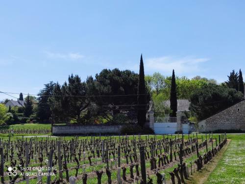 Bed & Breakfast R�ves & Rivi�re