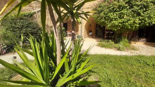 Apartamento G�te De Charme Le Mas Des P�lissiers