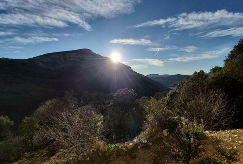 Le Studio Nature D'escales En C�vennes