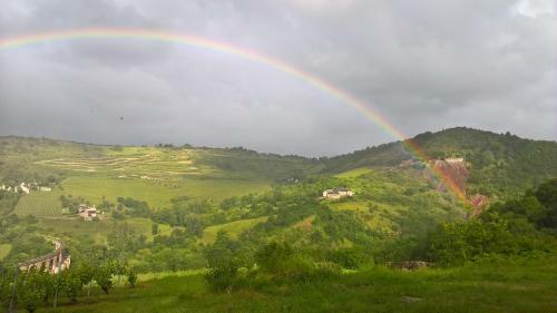 Maison Isol�e Dans Les Vignes Et Les Bois