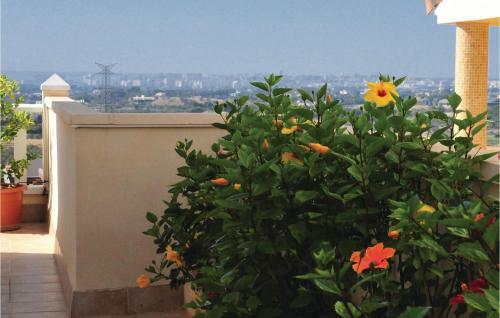 Holiday Home C/ De La Camamil 16, Casa