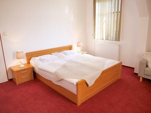 Hostal Penzion A Restaurace U ?ervink?