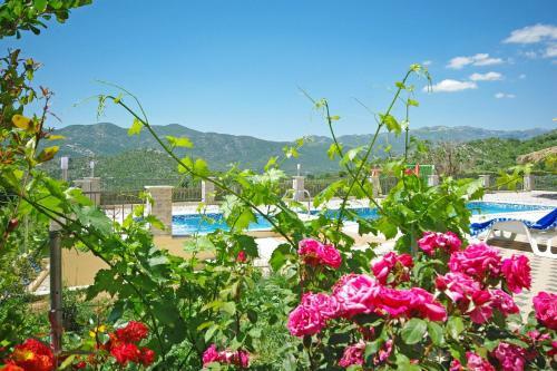 Villa Vila Nova With Private Heating Pool And Jacuzzi