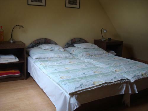 Apartamento Vincze Vend�gh�z