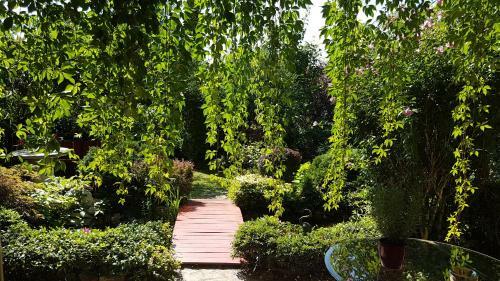Hostal Panor�ma Panzi�