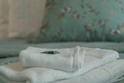 Hotel Villa Roze