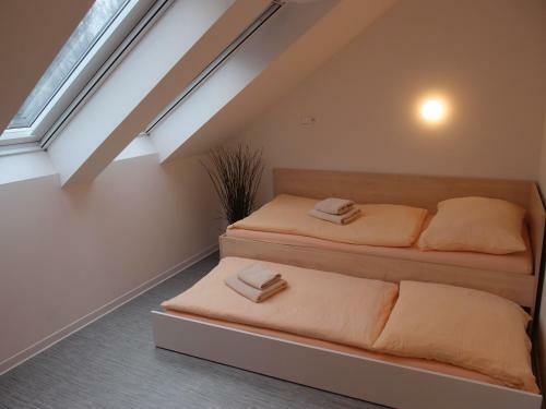 Hostal Centrum Salvator