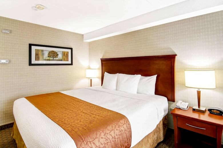 Hotel Comfort Inn Kitchener - Standard Cb