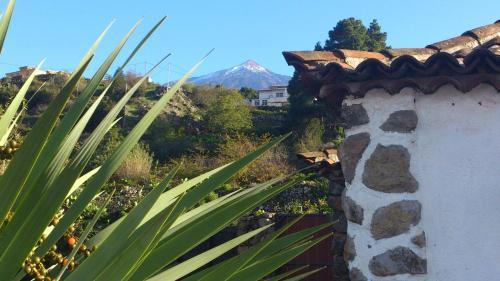 Villa Finca Los Ciruelos