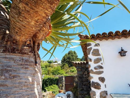 Villa Finca Los Ciruelos