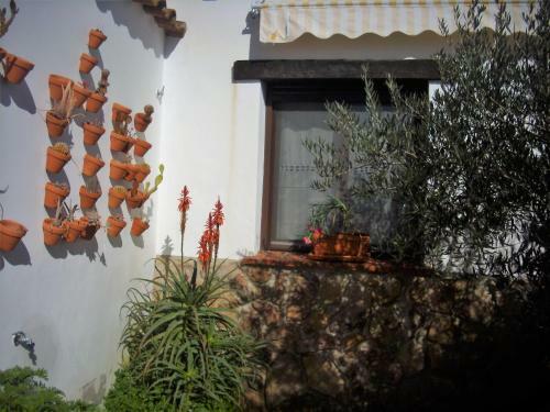 Casa Rural El Cerc�n