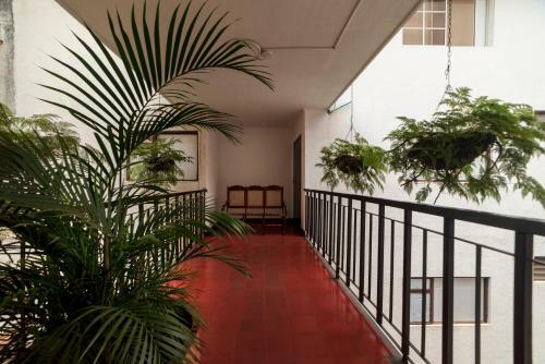Hotel Ayenda 1502 Principe