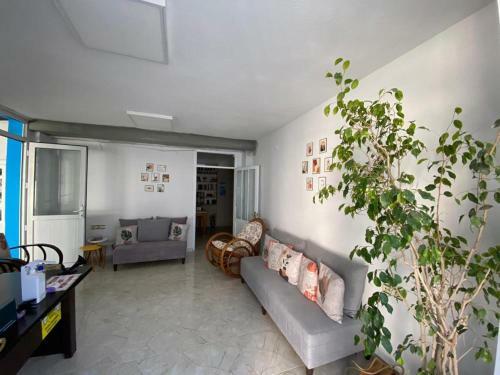 Hostal Nese Hotel