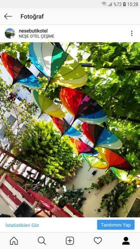Hostal Nese Hotel