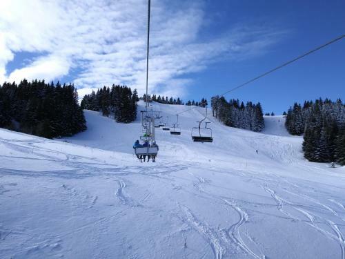 Apartments Montis Golte