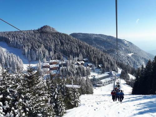 Apartments Montis Golte