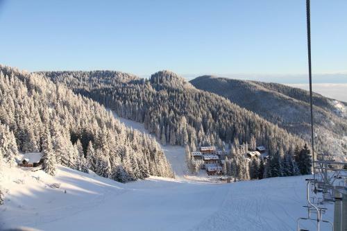 Apartments Montis Golte