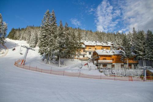 Apartments Montis Golte