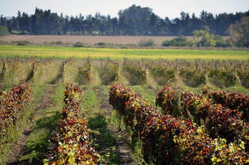 Agroturismo Entrevi�as