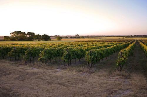 Agroturismo Entrevi�as