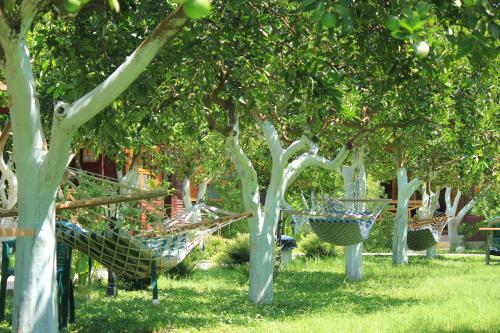Bed & Breakfast Mercan Bungalow