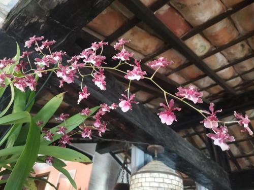 Hostal Casa Da Tat�