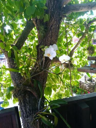 Hostal Casa Da Tat�