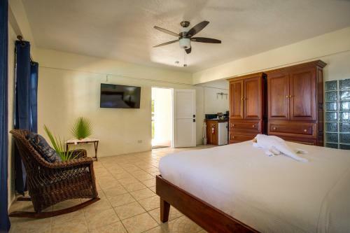 Hotel Mariposa Belize Beach Resort